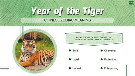 year of tiger personality